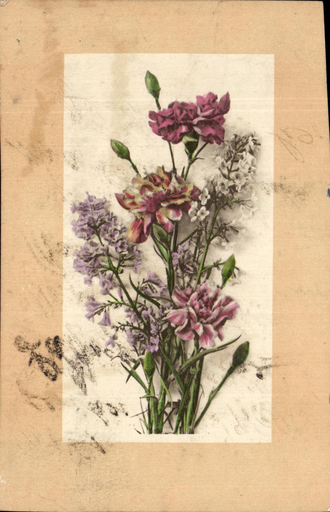 Flores de la fantasia de CPA