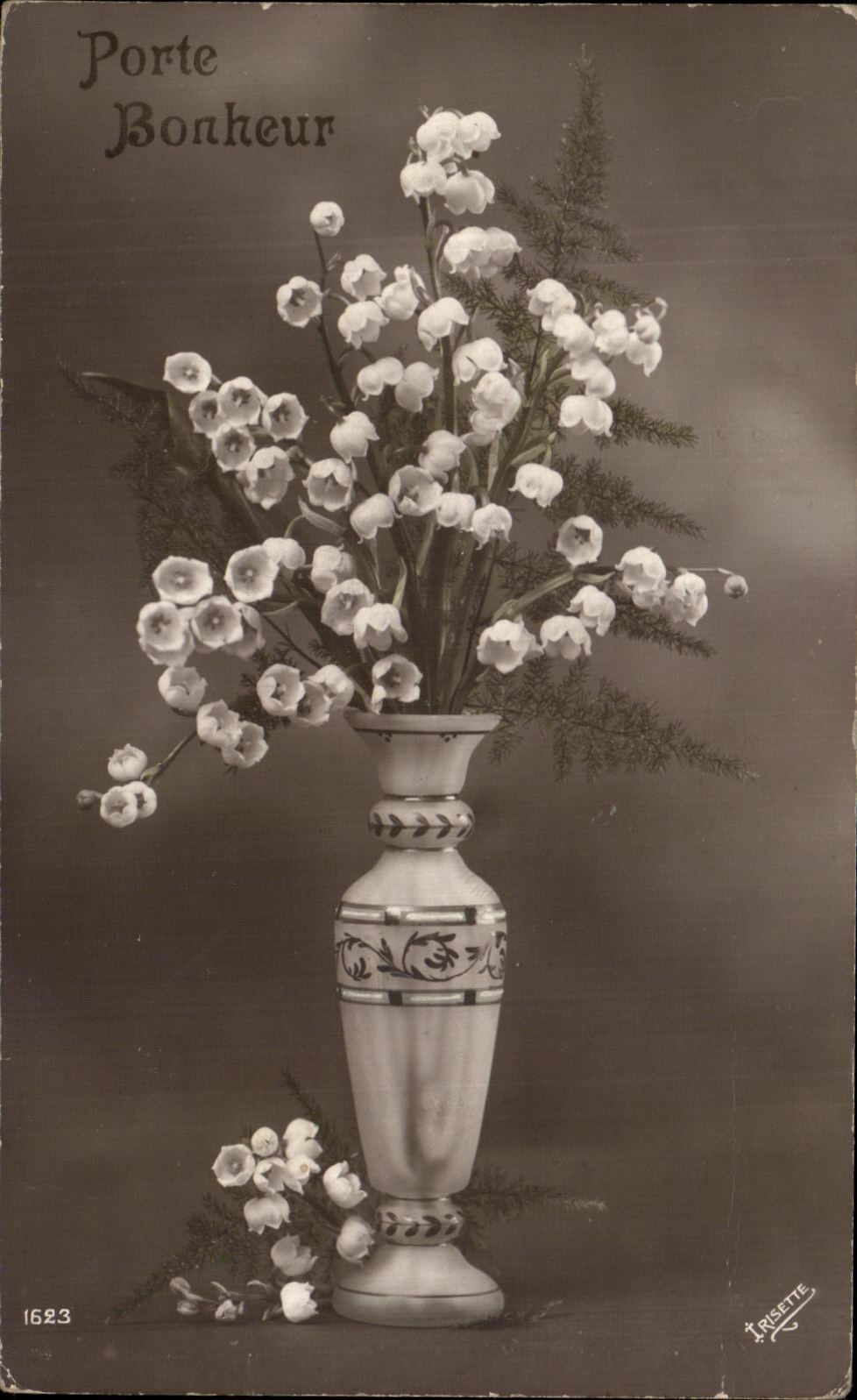 Flores de la fantasia de CPA