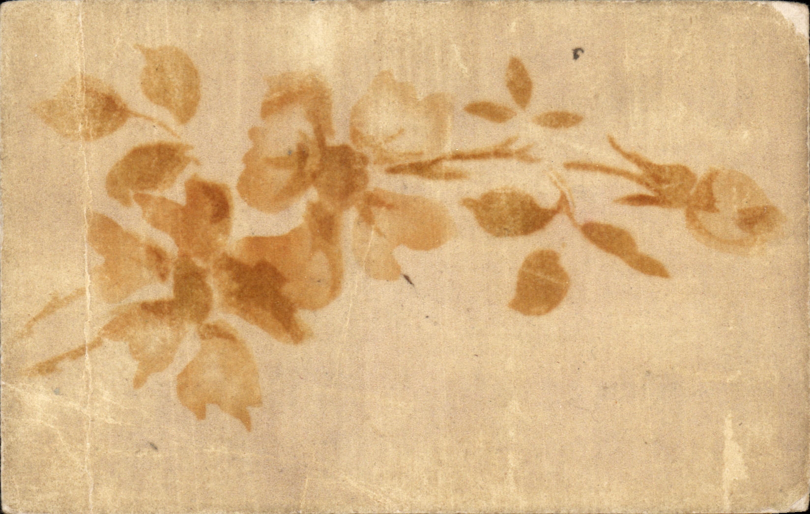 Flores de la fantasia de CPA