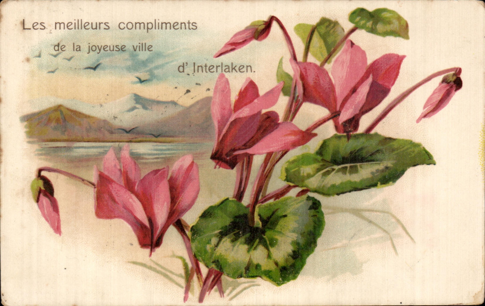 Flores de Interlaken de la fantasia de CPA