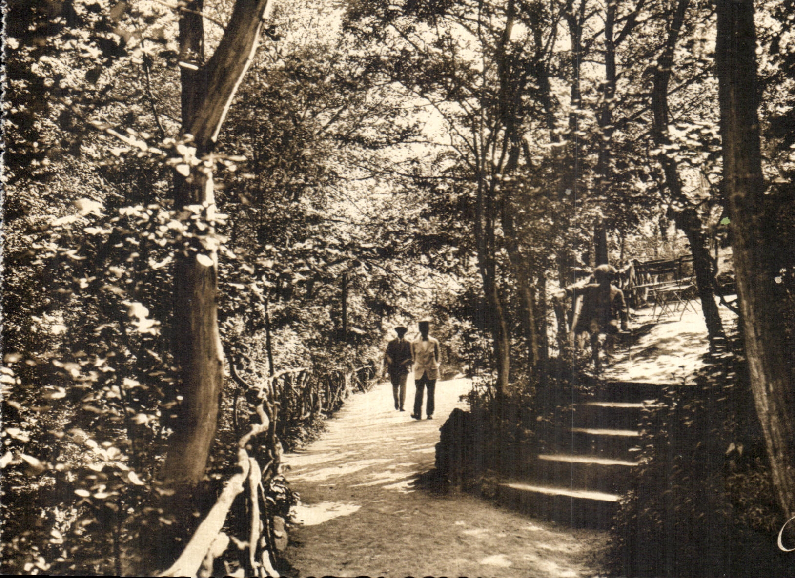 CPA Chatelguyon debajo de la madera en el parque