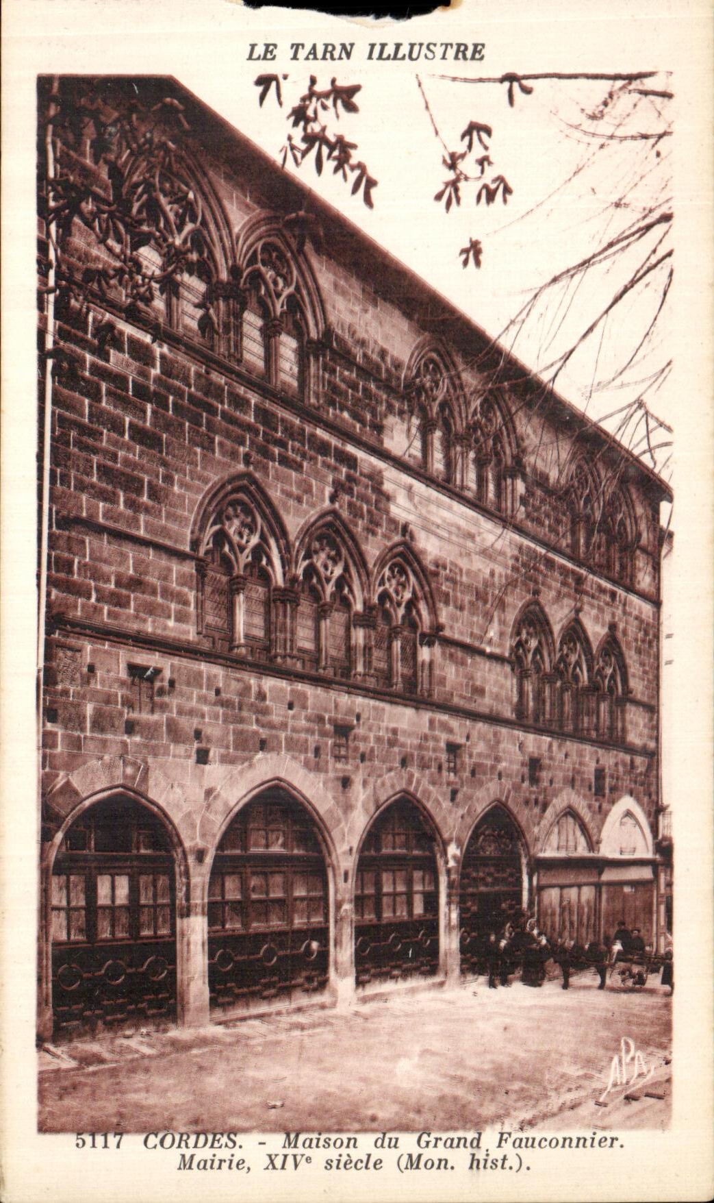 CPA Le Tarn Illustre Cordes Maison du Grand Fauconnier Mairie Siecle
