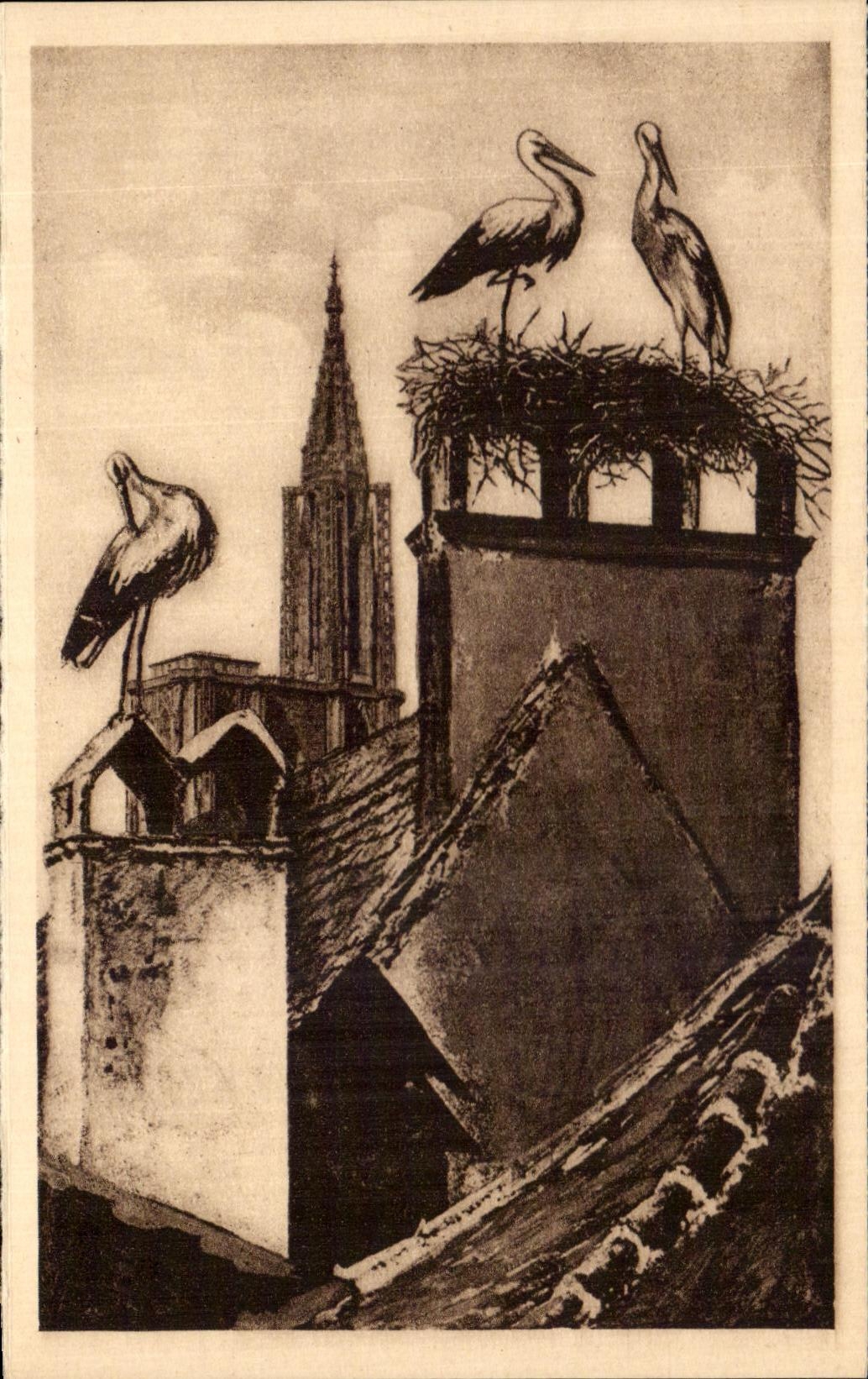 CPA Strasbourg Nest Of Storks