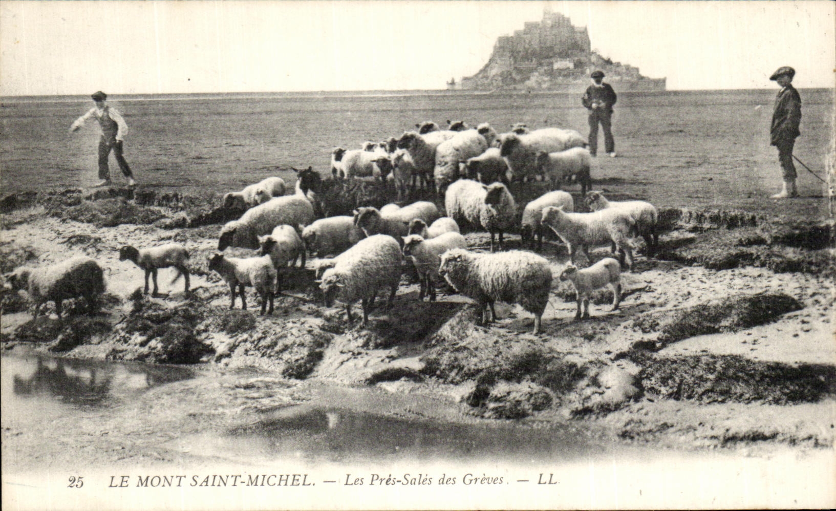 CPA the Mount St Michel Close Dirty of Serious the Shepherd and sheep