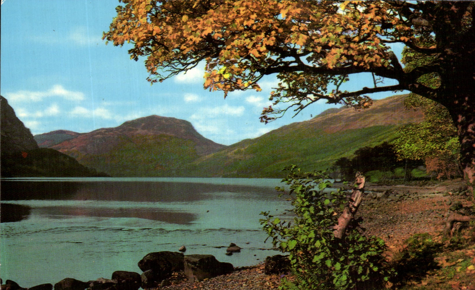 MODERN CARD Log Lubnaig And Ben Shein Perthshire