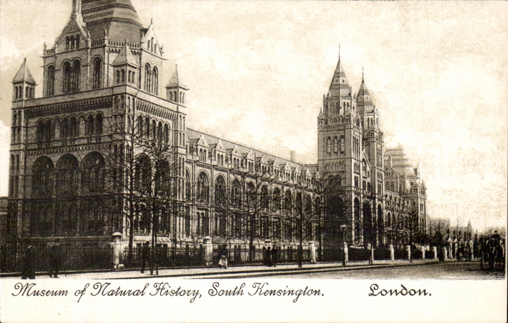 CPA Museum Off Natural History South Kensingtom London