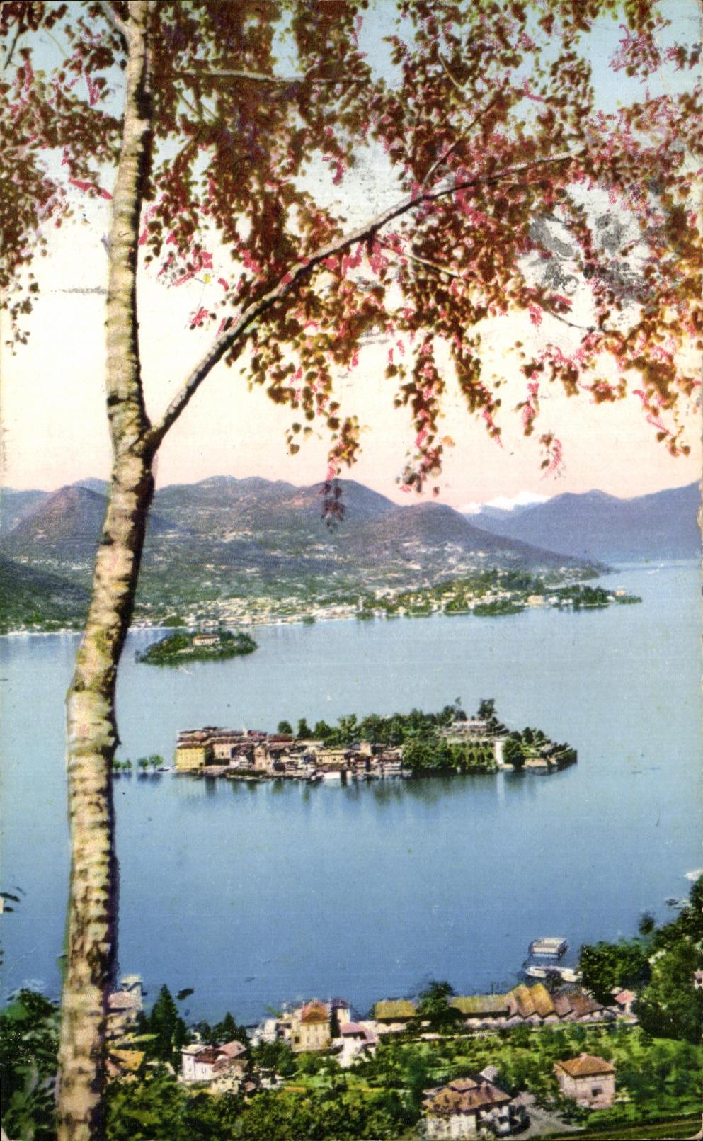 CPA Stresa Borromeo Pallanza ED aisla Lago Maggiore