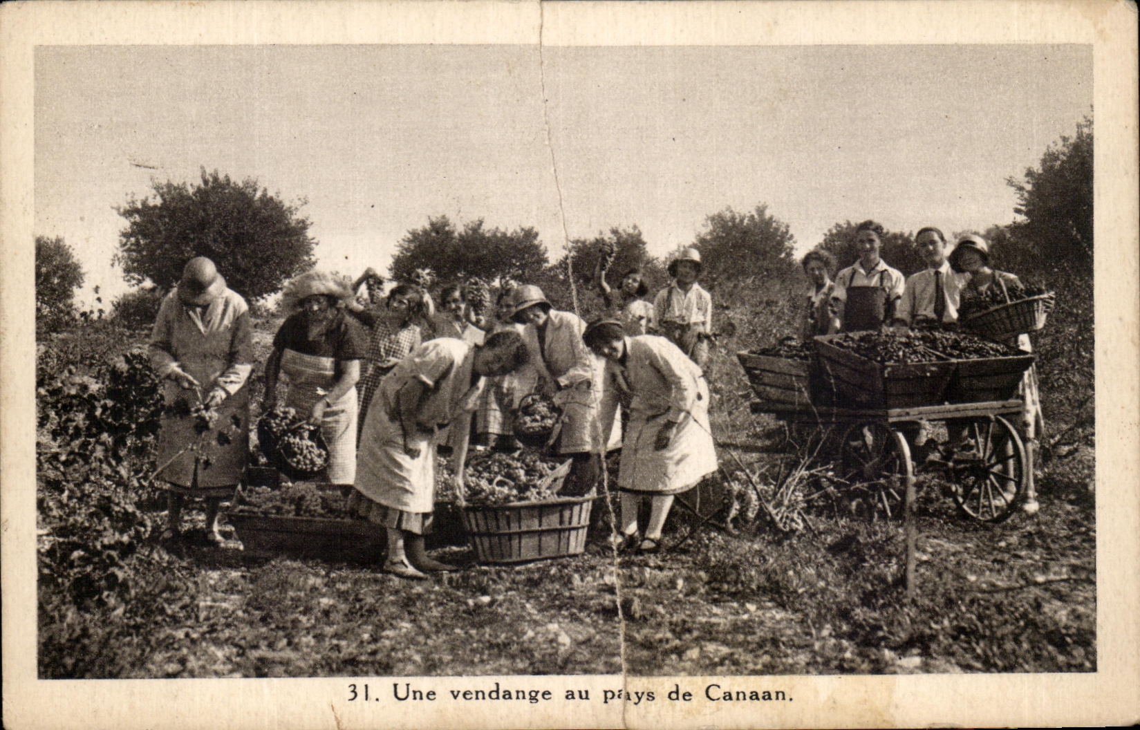 CPA a Vintage with the Country of Canaan