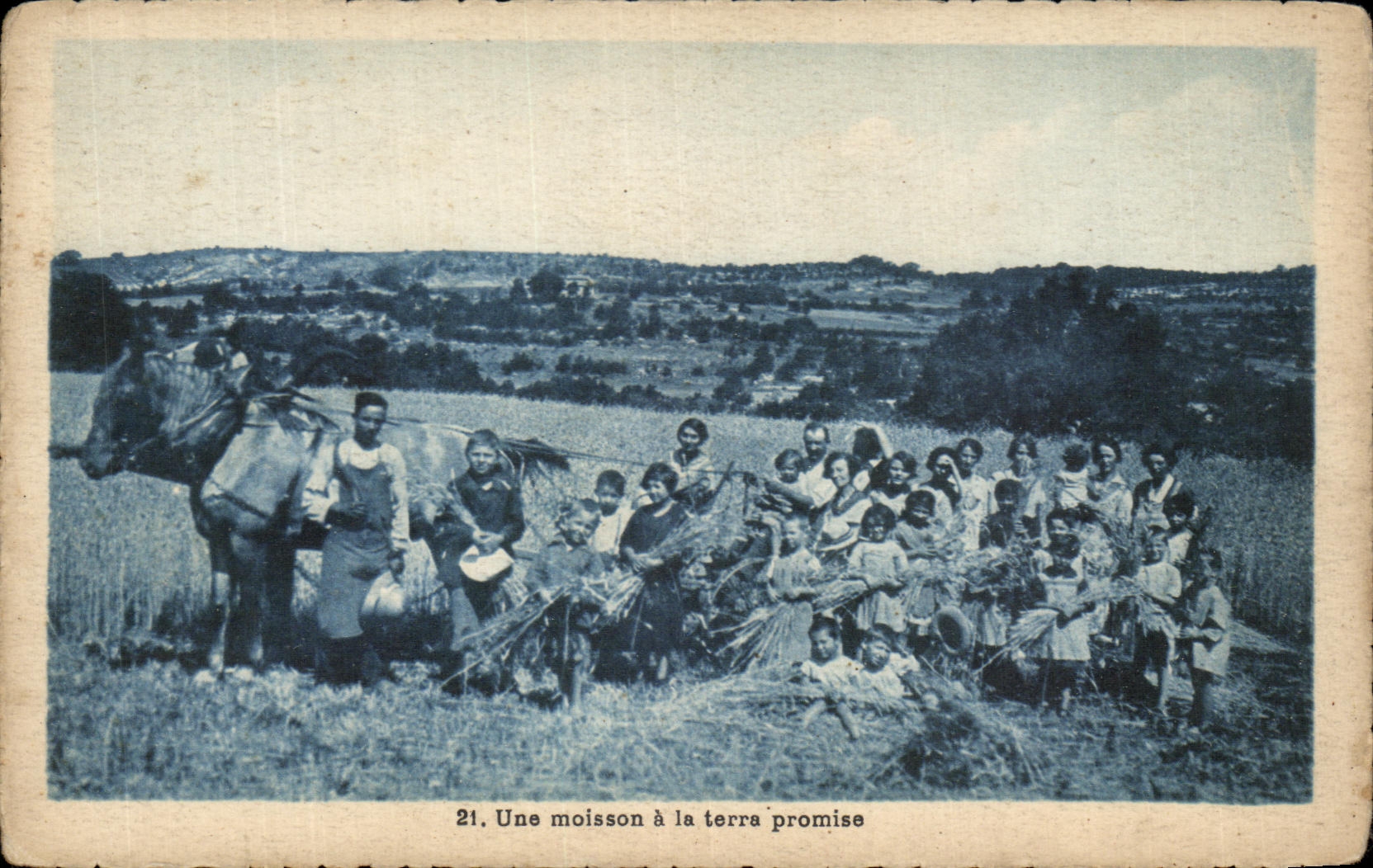 CPA a Harvest with the Promised land Horse draft