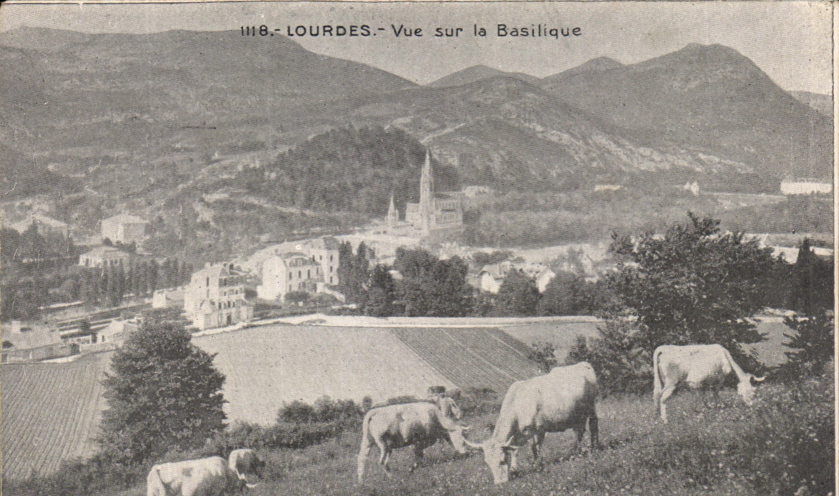 CPA Lourdes Seen On the Basilica Cows