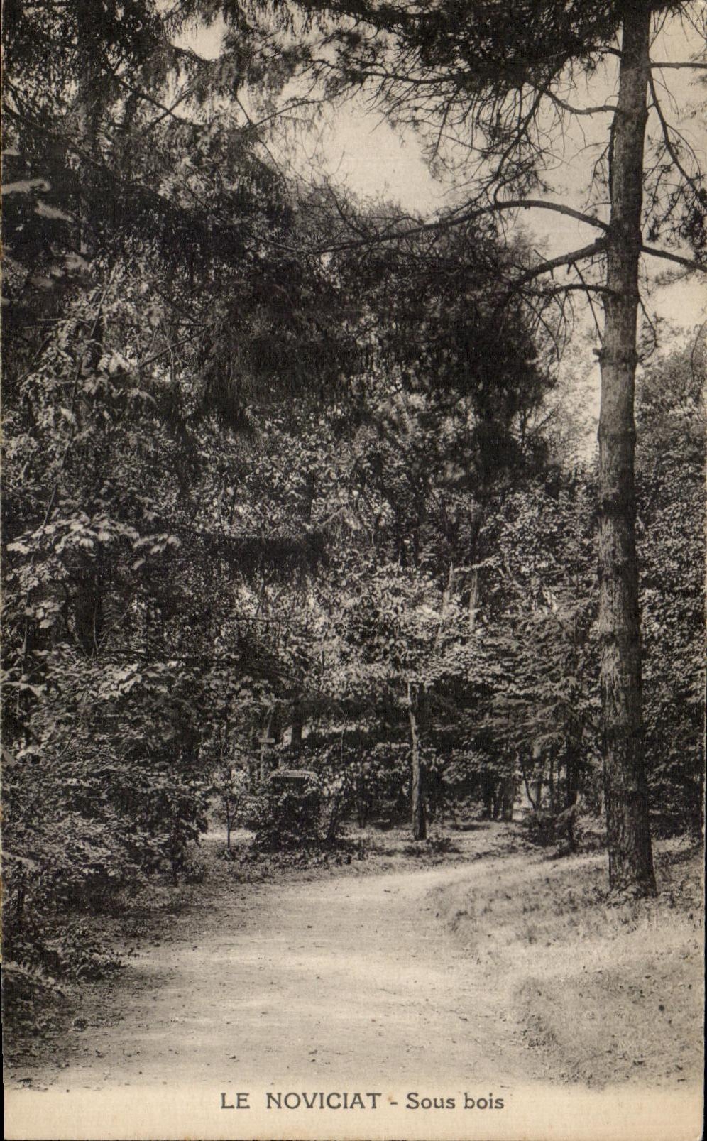 CPA el noviciado debajo de la madera