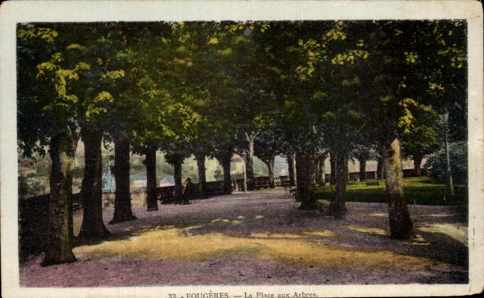 CPA Ferns the Place with the Trees