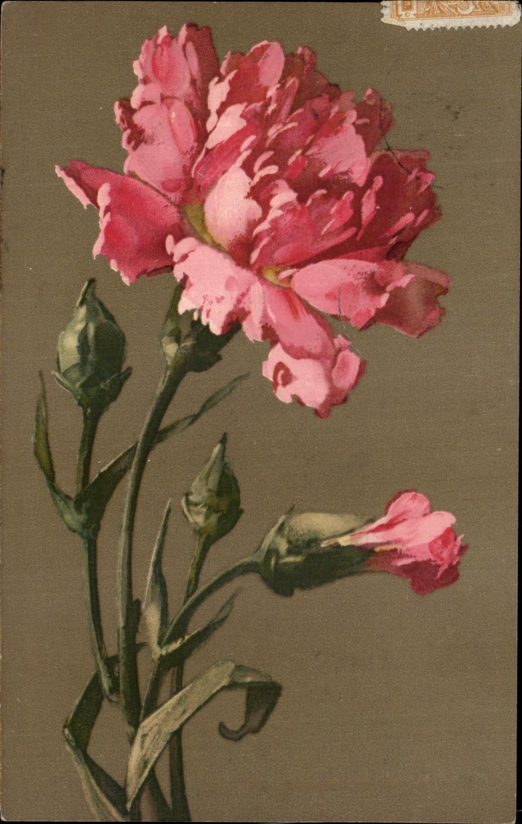 Flores de la fantasia de CPA