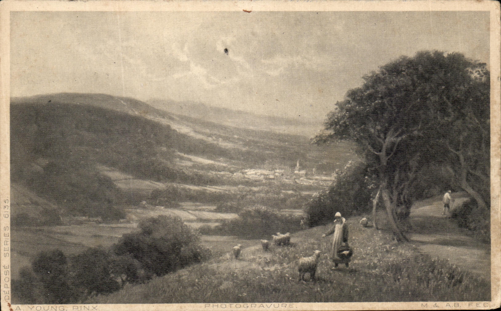 CPA paysage a la campagne Moutons 