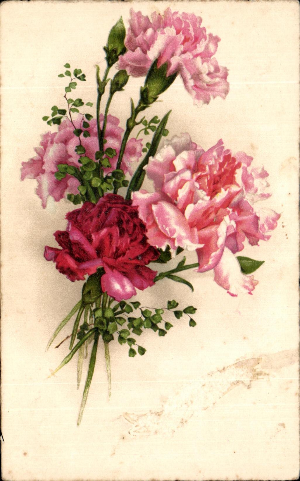 Flores de la fantasia de CPA