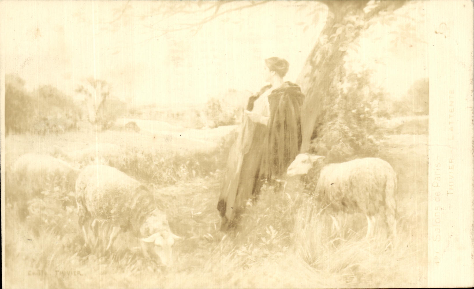 CPA Bergere et ses moutons