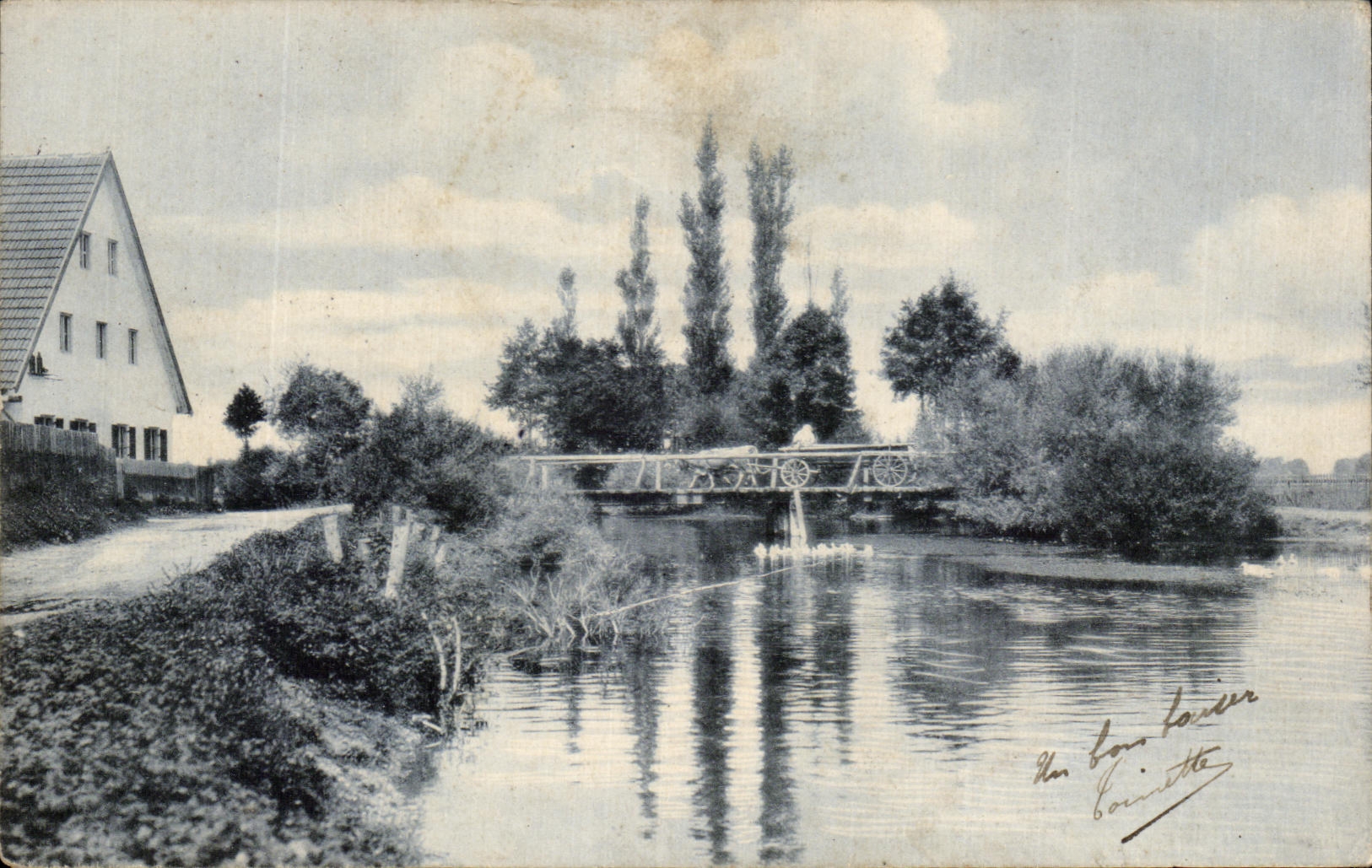 CPA Village Coach of oxen