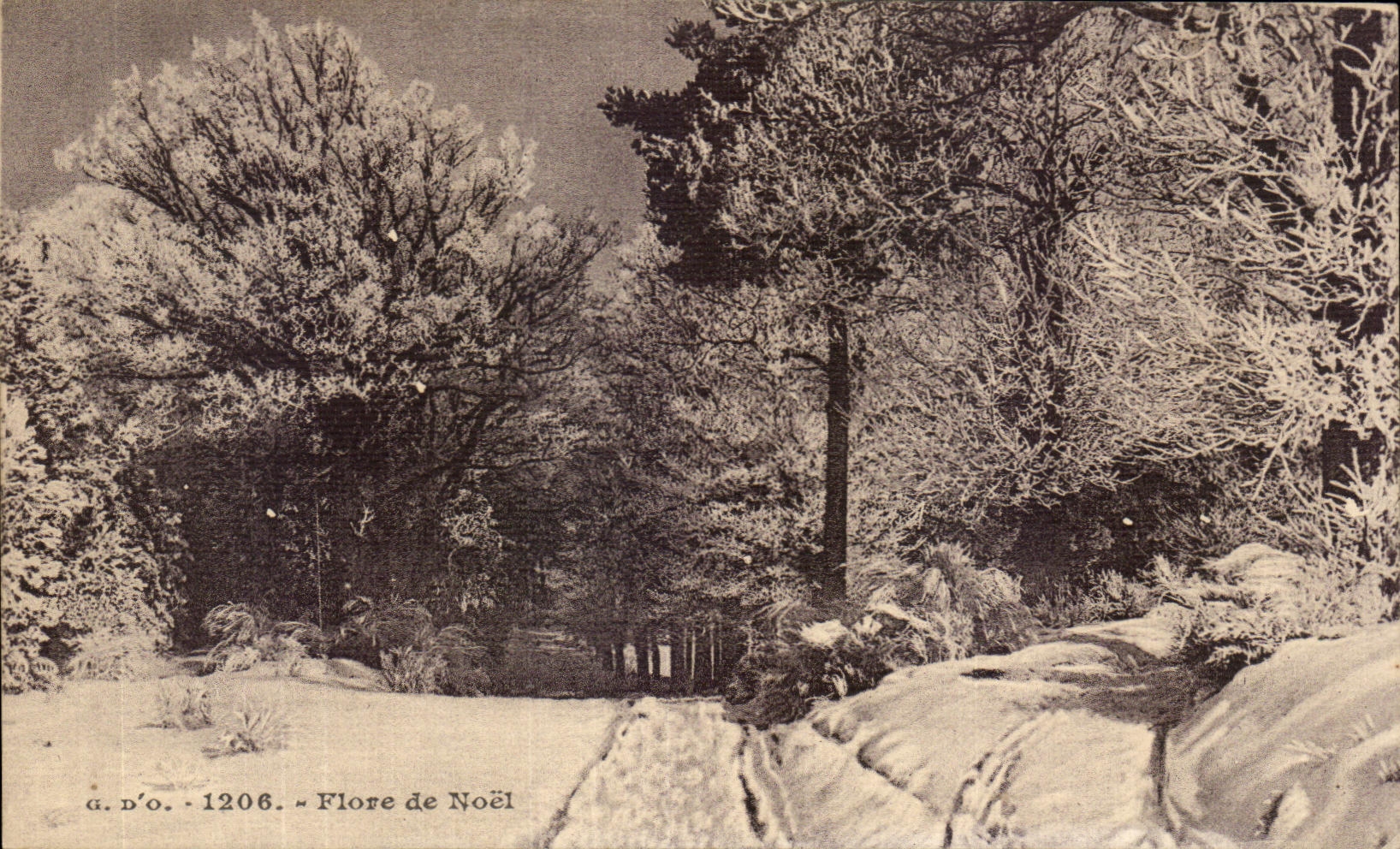 Flora de CPA de la Navidad