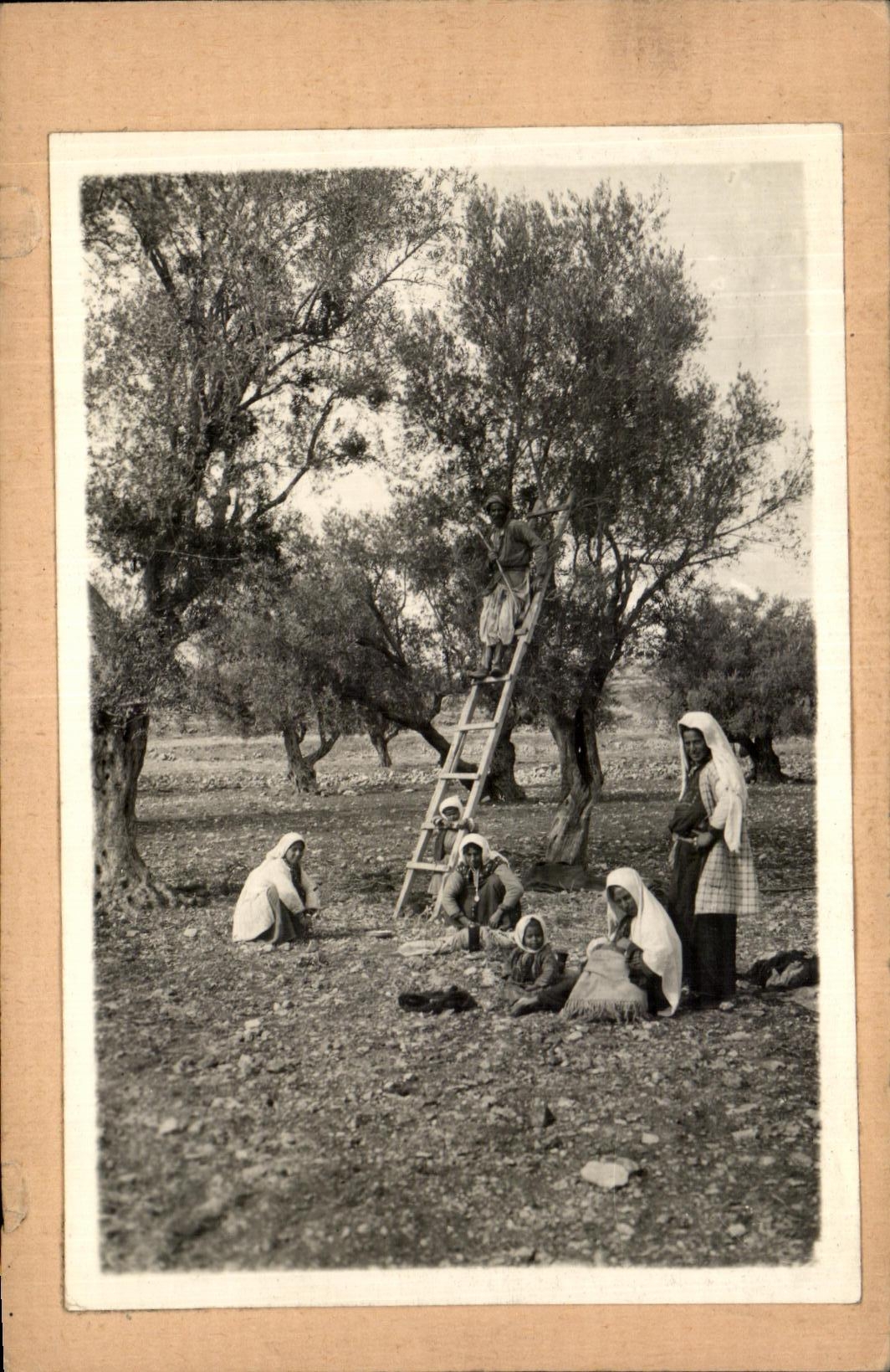 North Africa photograph Folklore