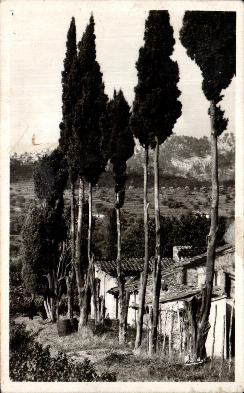 CPA Paysage Provencal Collection La Cote d'Azur