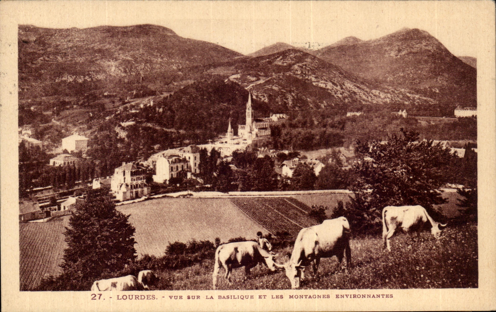 CPA Lourdes Seen on the surrounding Basilica and mountains Cows