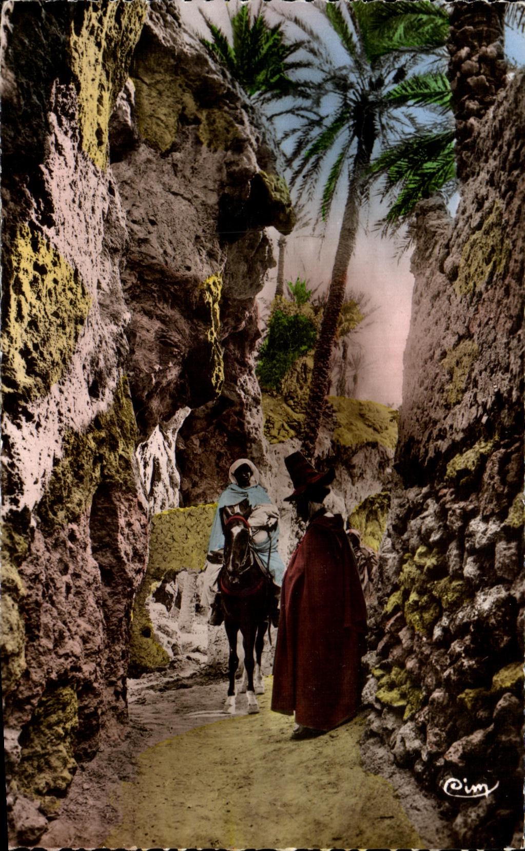 CPA Argelia en el asno del oasis