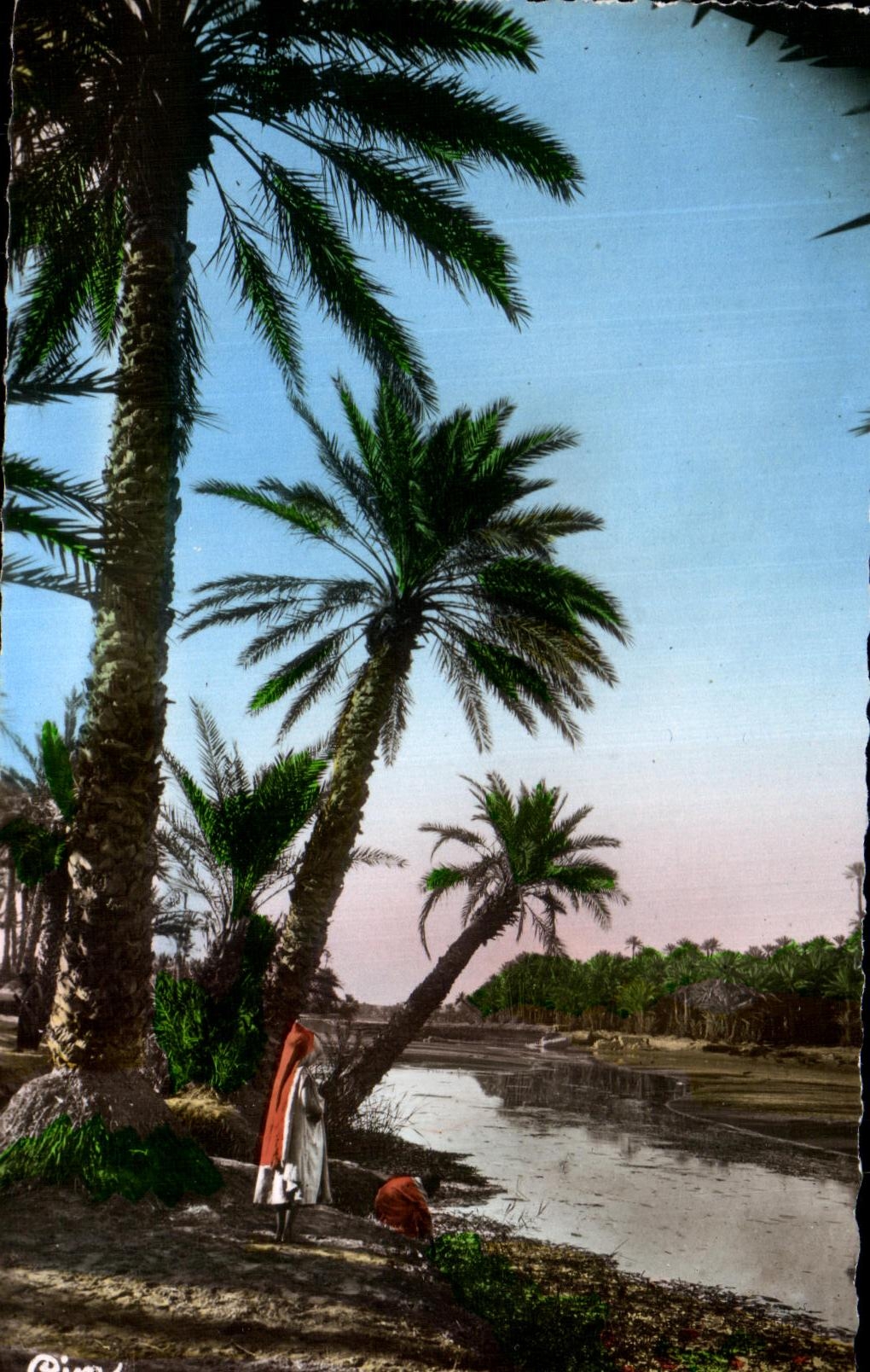 CPA North Africa the River Algeria