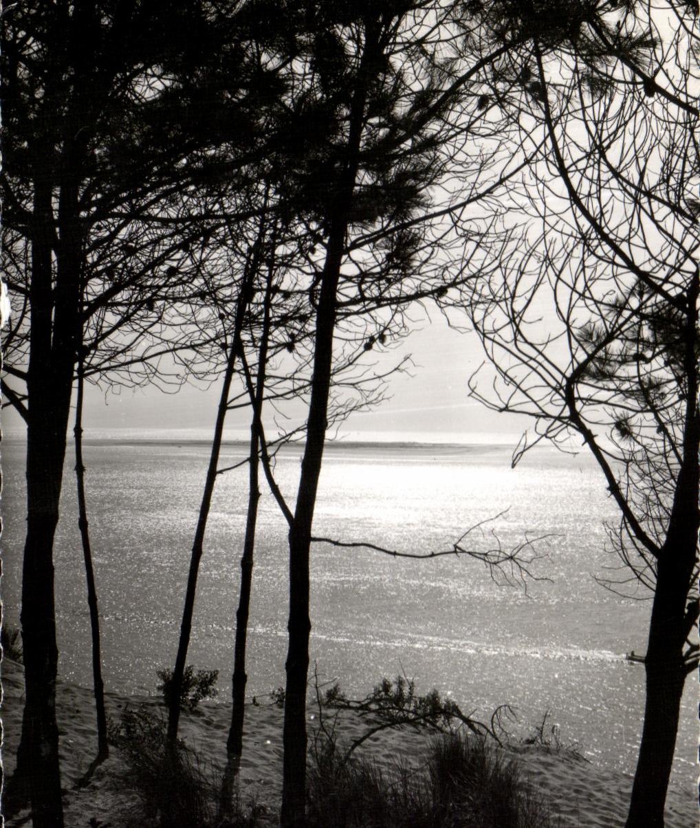 CPSM Basin of Arcachon Sunset on the basin
