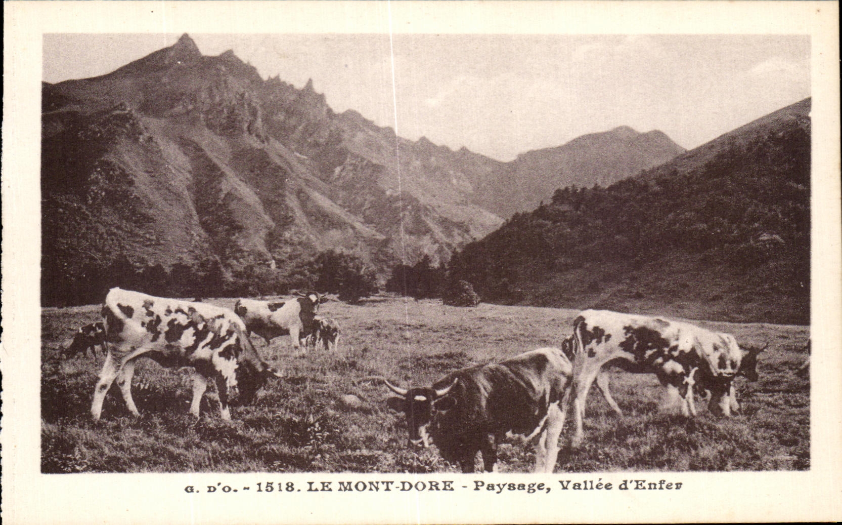 CPA the Mount Gilds Landscape Valley of Hell Cows