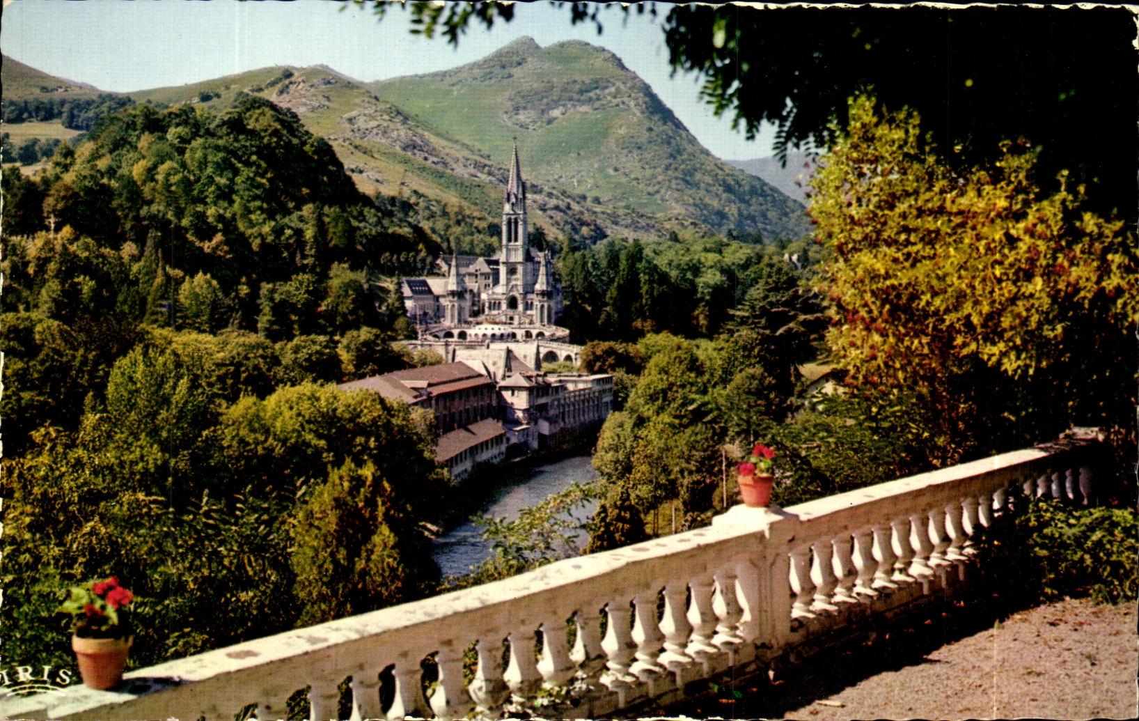 CPSM Lourdes the basilica and Gave