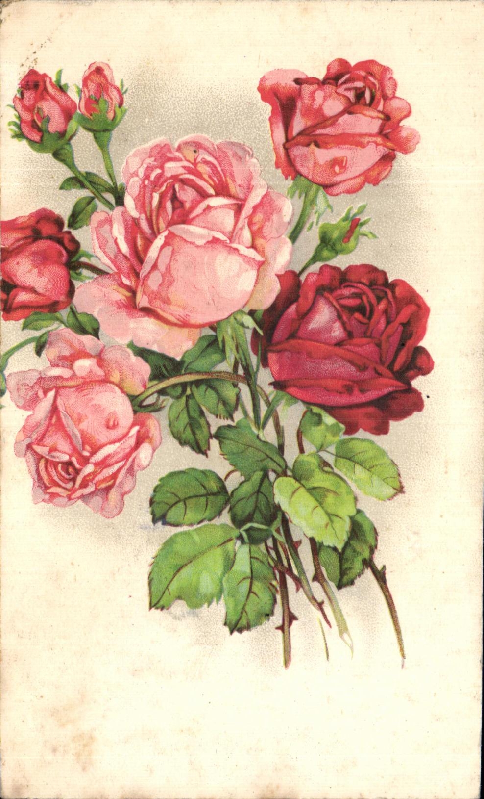 La fantasia de CPA florece rosas