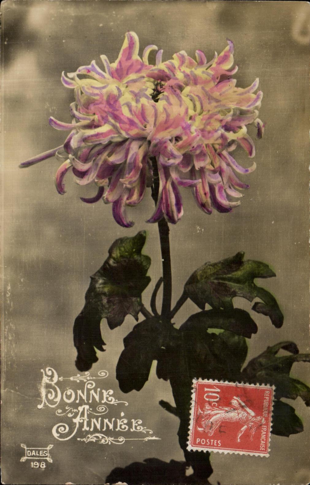 Flores de la fantasia de CPA