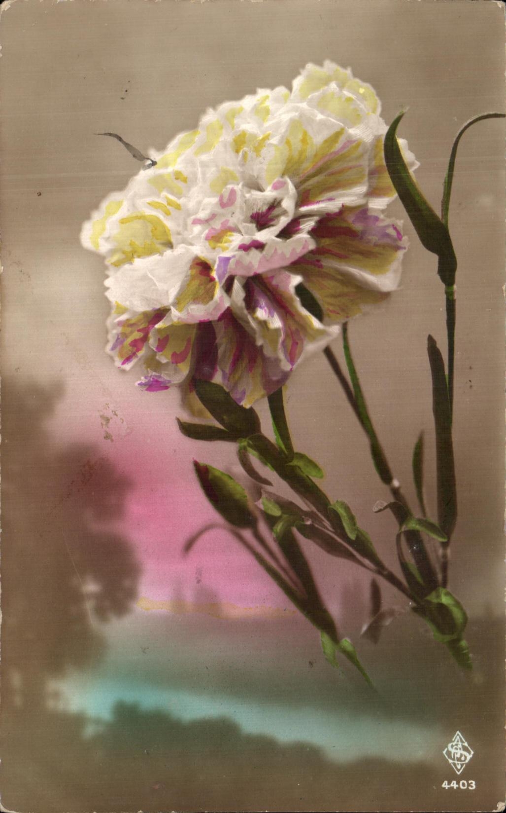 Flores de la fantasia de CPA