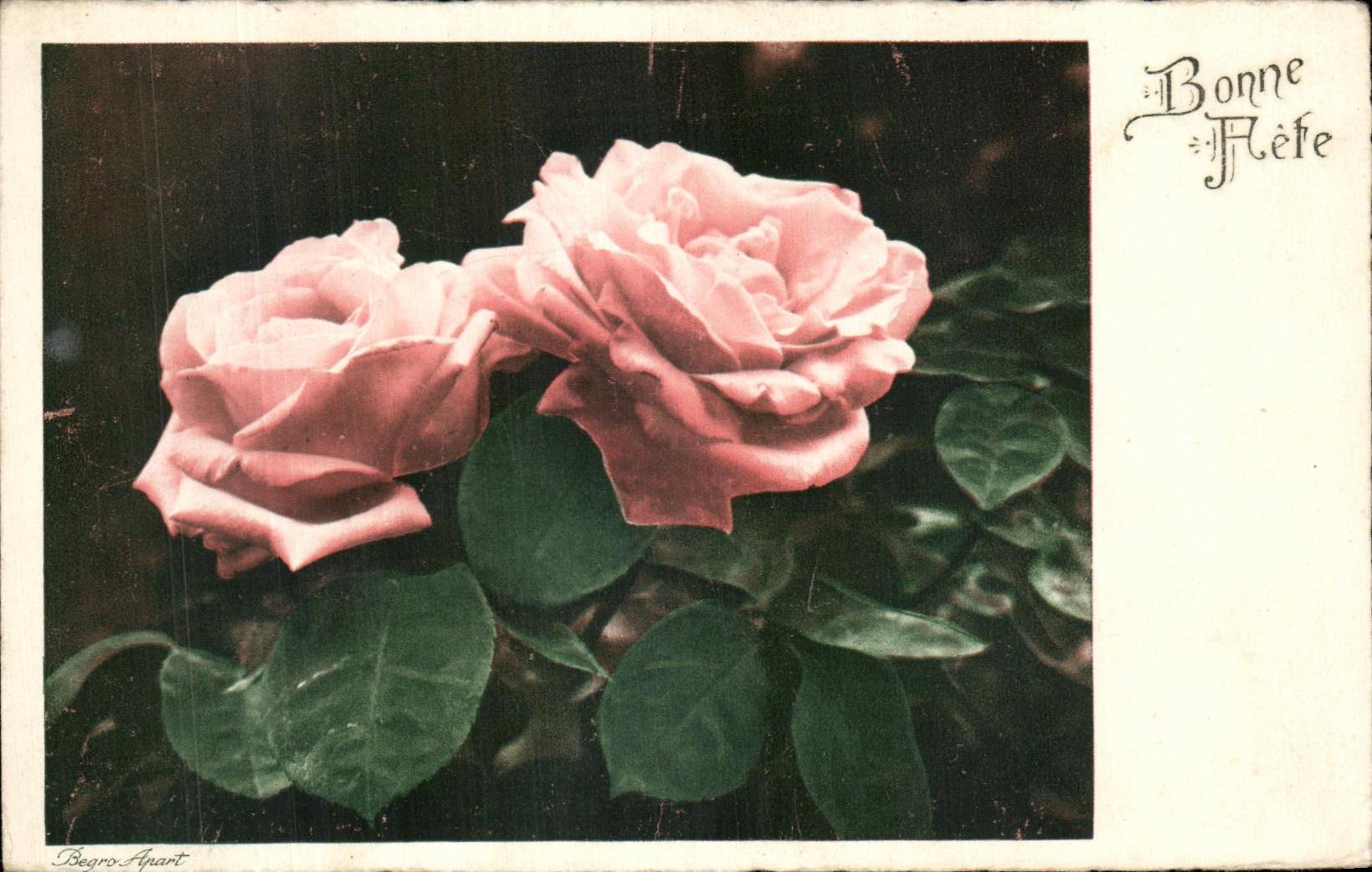 Flores de la fantasia de CPA