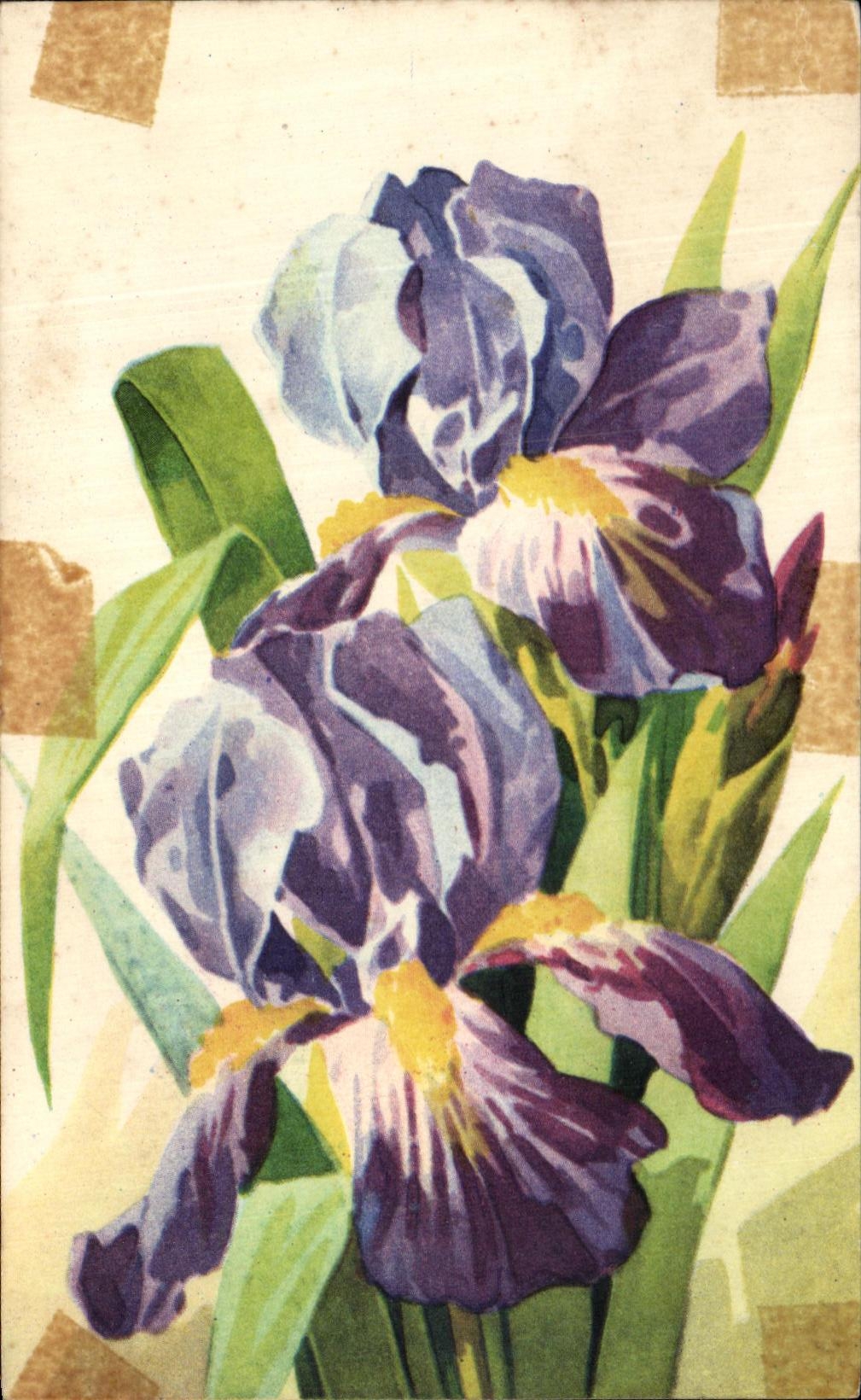 Flores de la fantasia de CPA