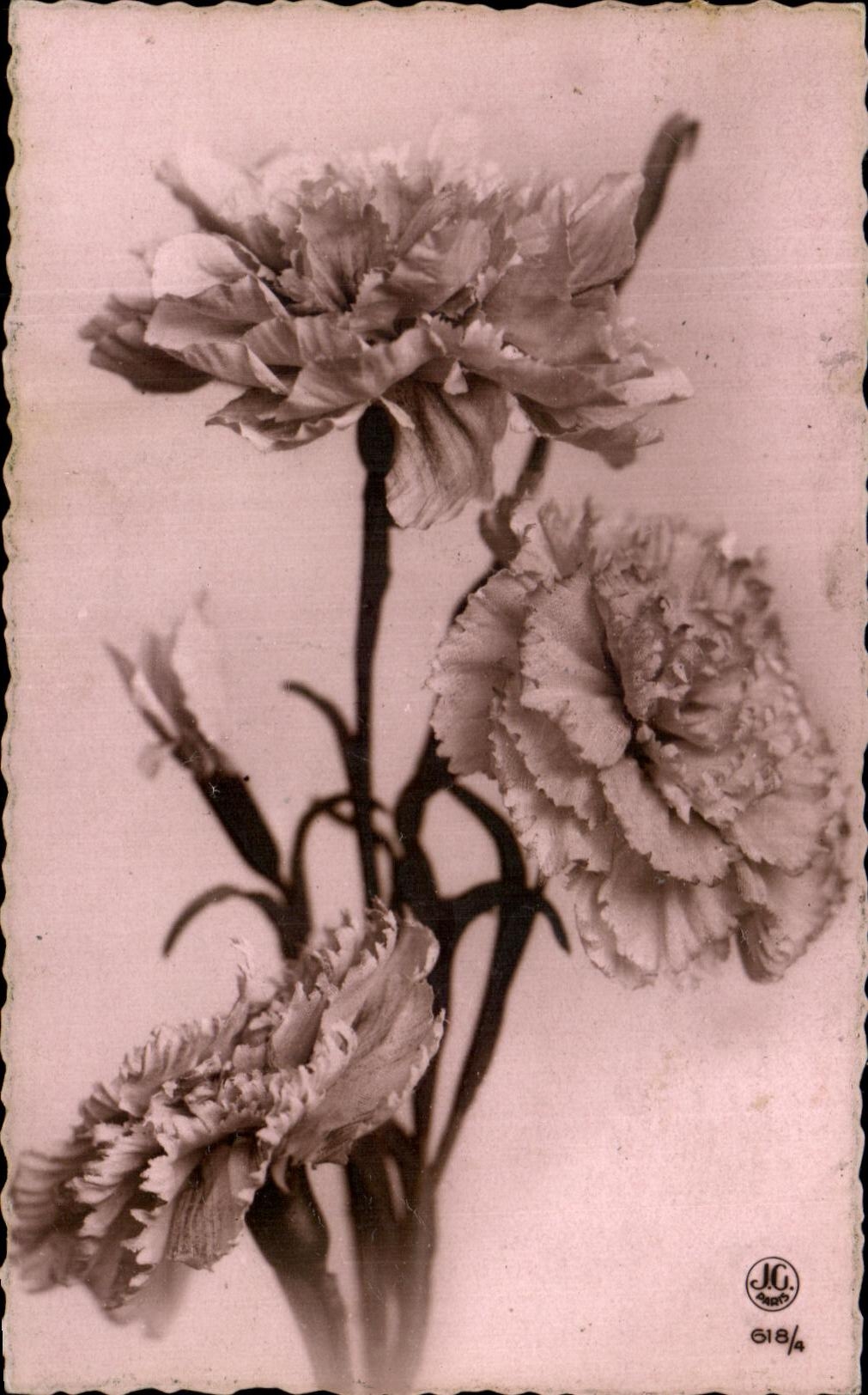 Flores de la fantasia de CPA