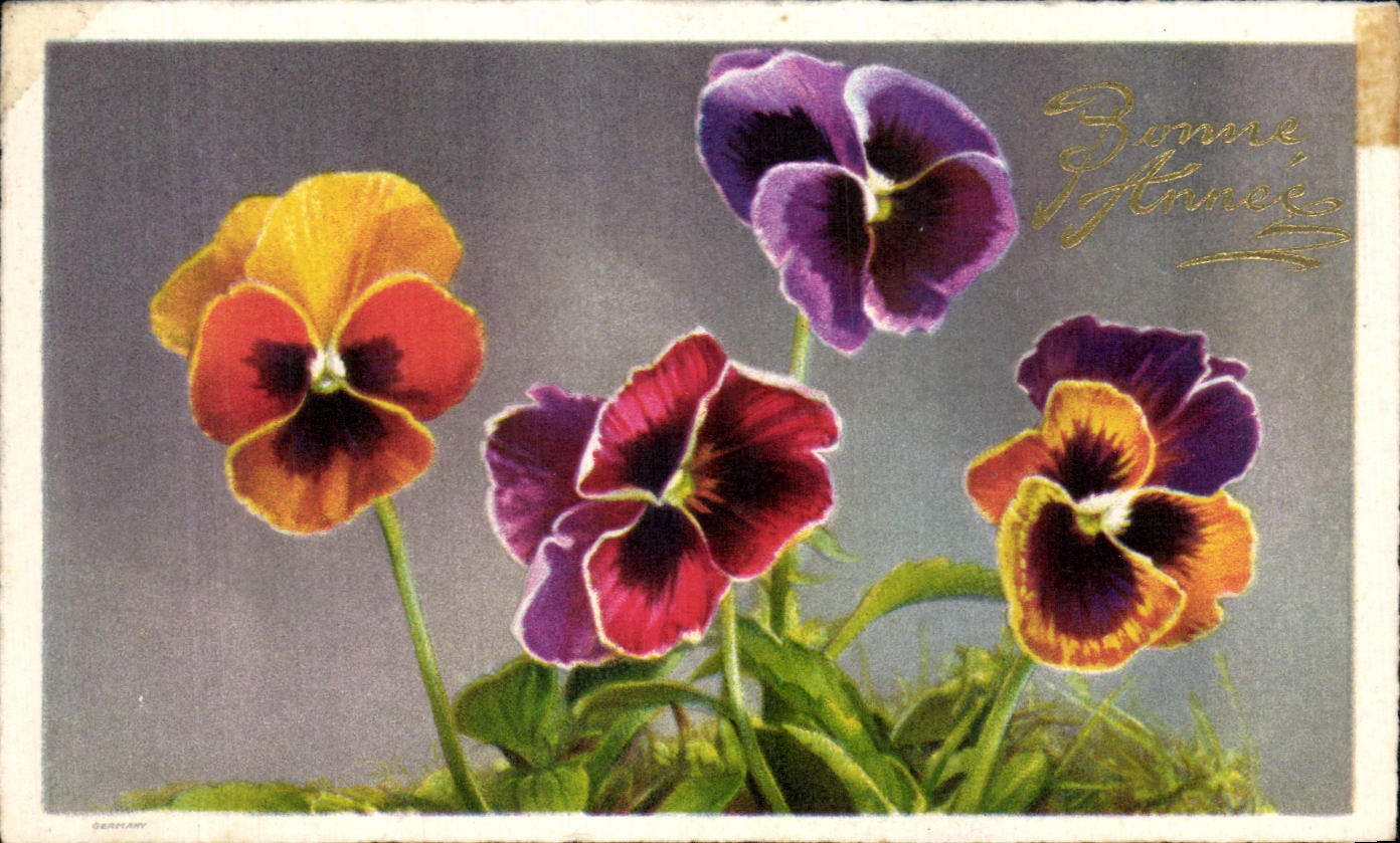 Flores de la fantasia de CPA