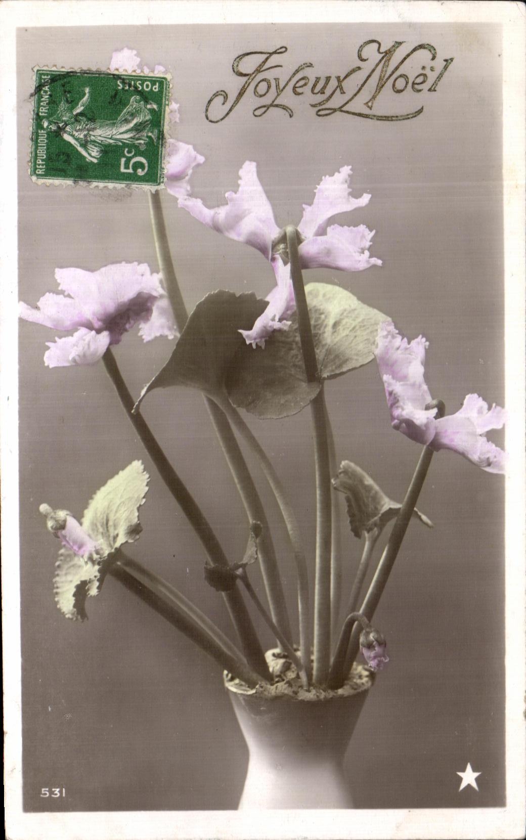 Flores de la fantasia de CPA