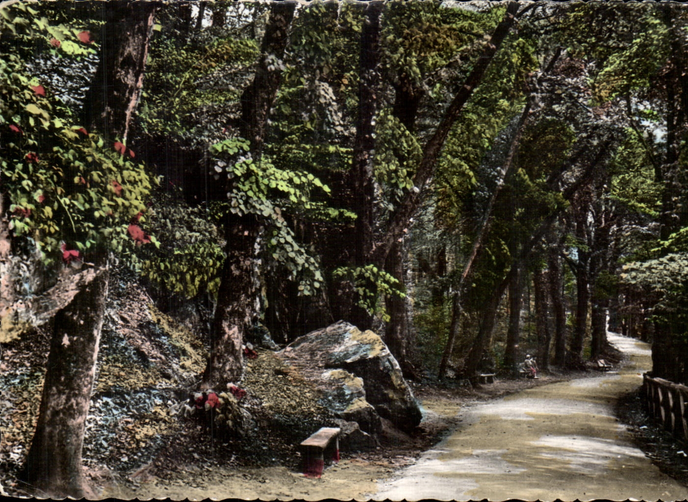 CPA Bagnoles De L'Orne Allee Du Dante