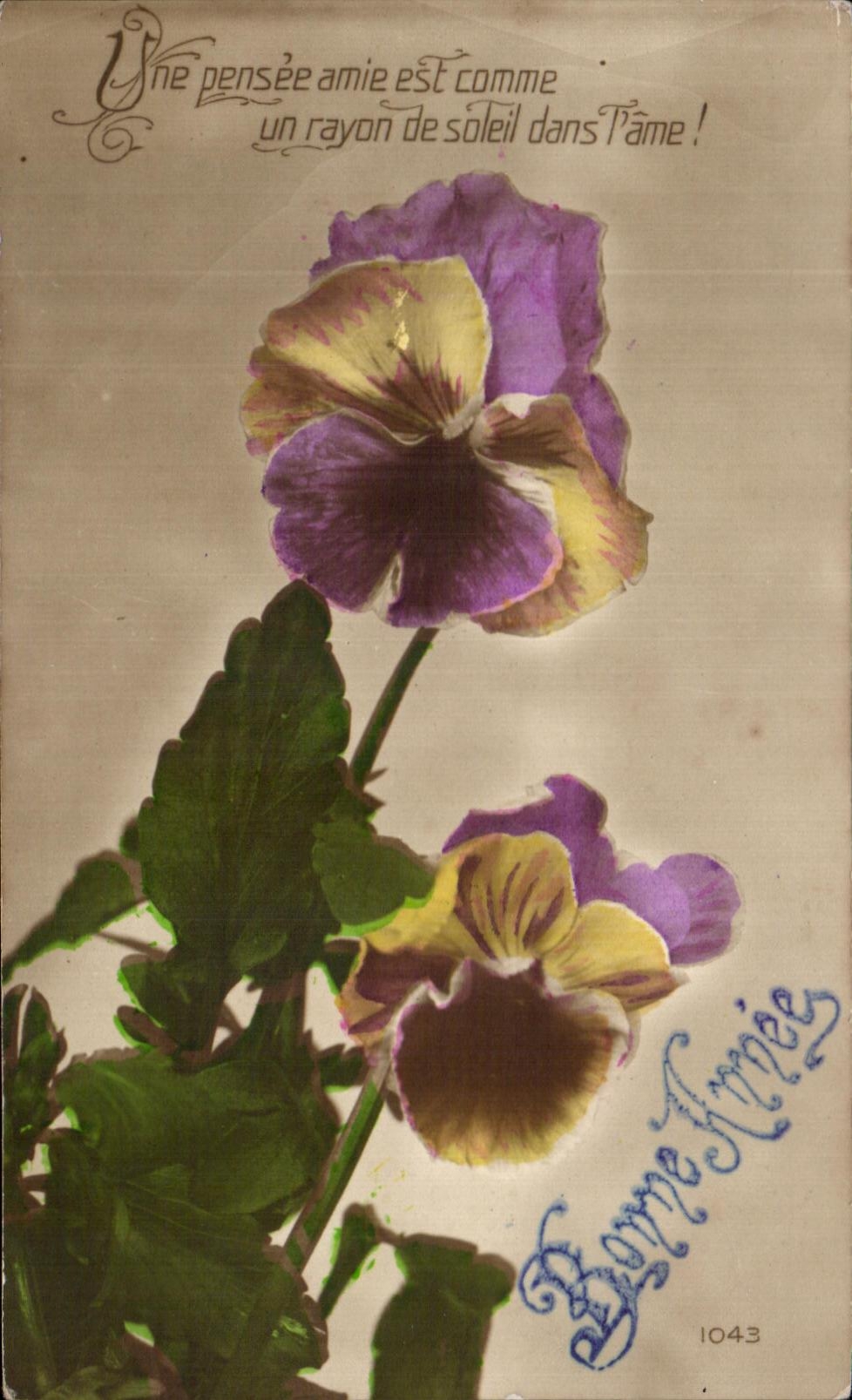 Flores de la fantasia de CPA