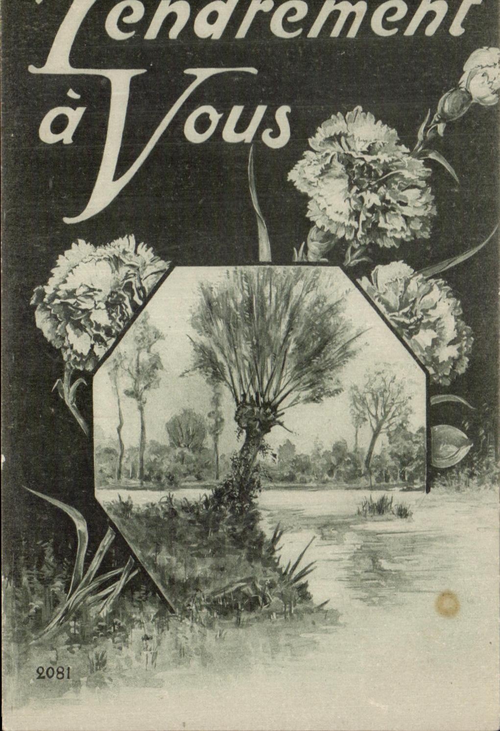 CPA Tendrement tiene que usted florece