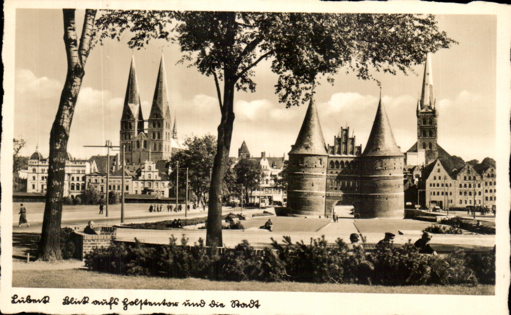 CPA Echte Fotografie chamois m Buttenrand