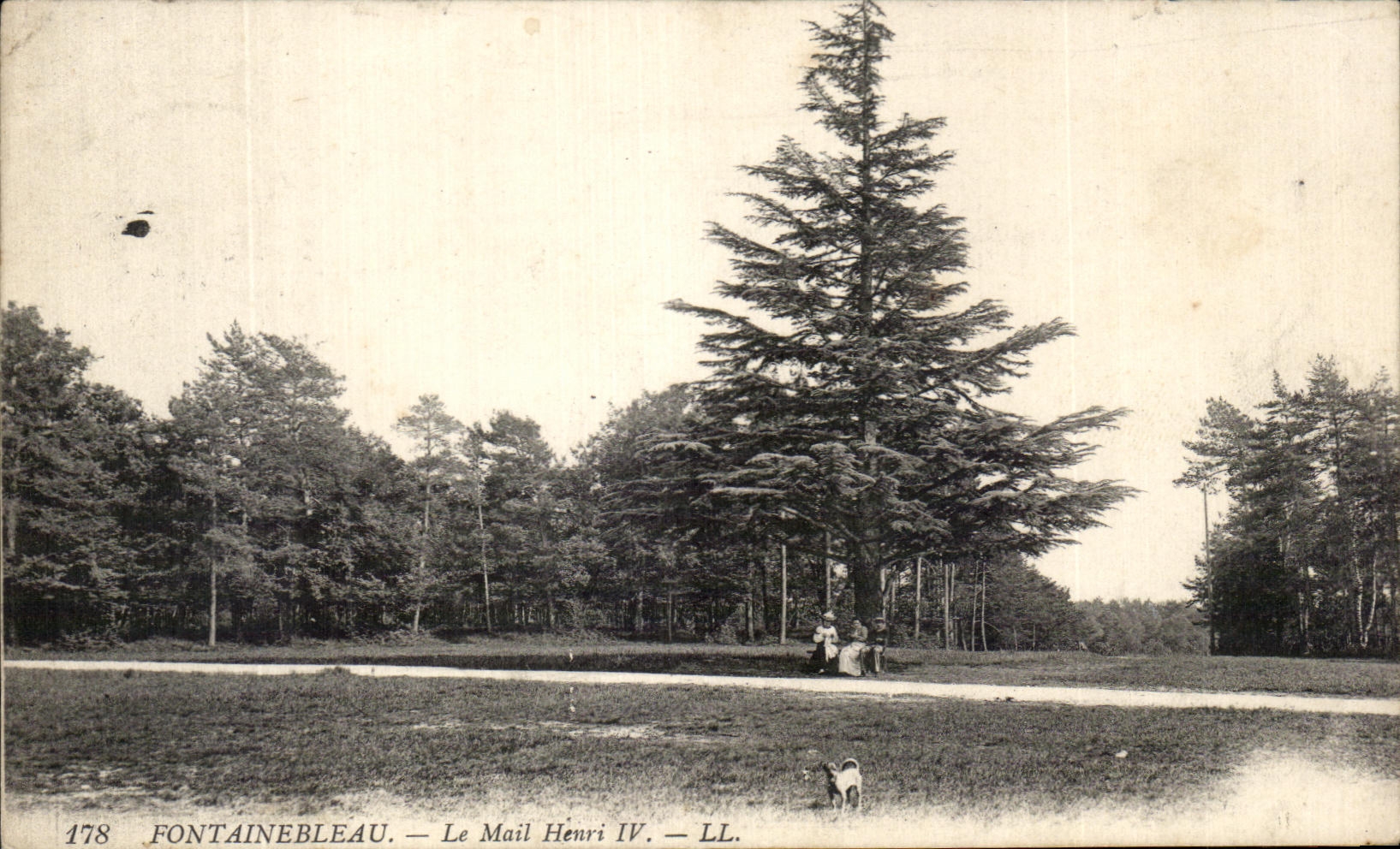 CPA Fontainebleau the Email Henri V