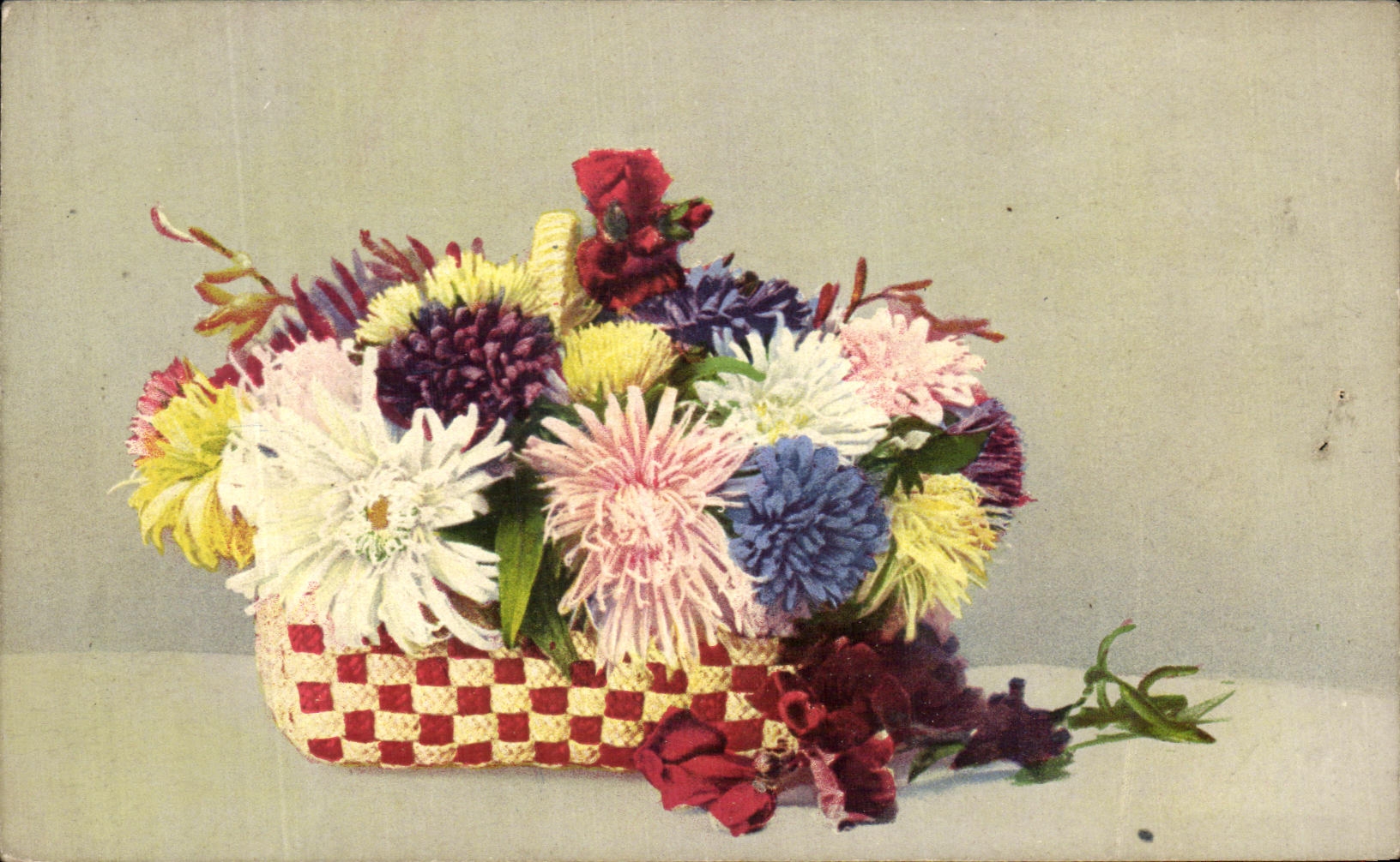 Flores de la fantasia de CPSM