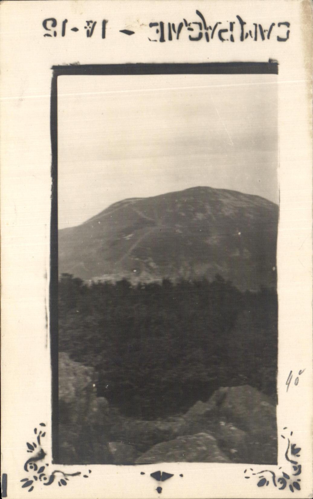 Real photo Marketing year 1914 1915