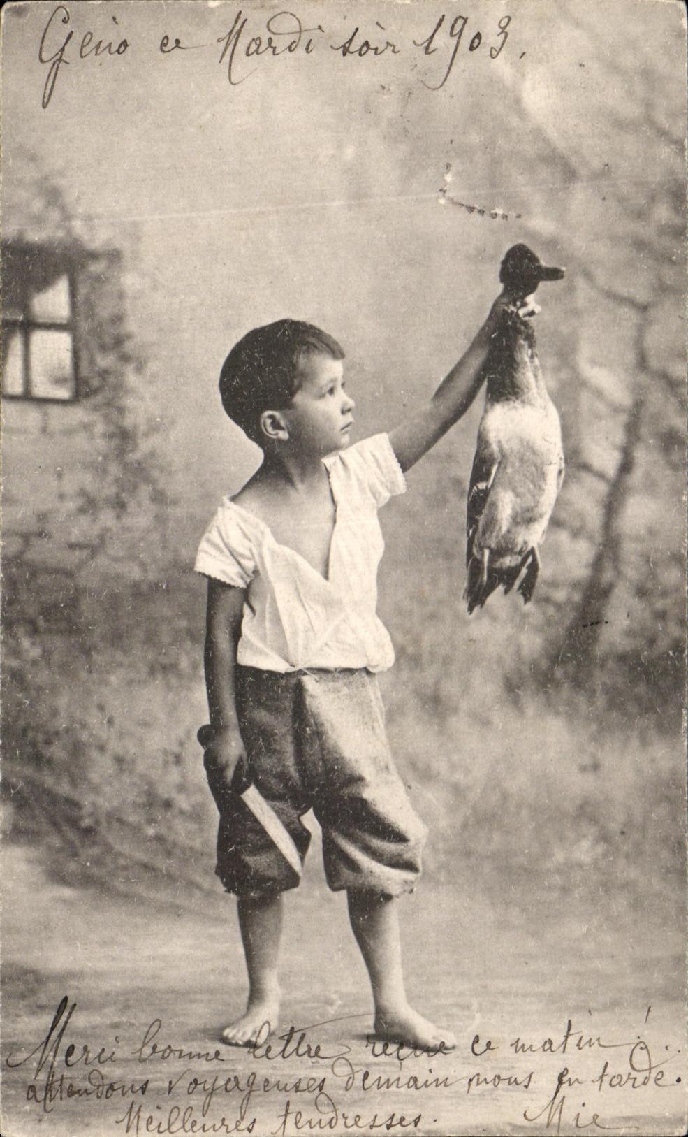 Pato del nino de la fantasia de CPA