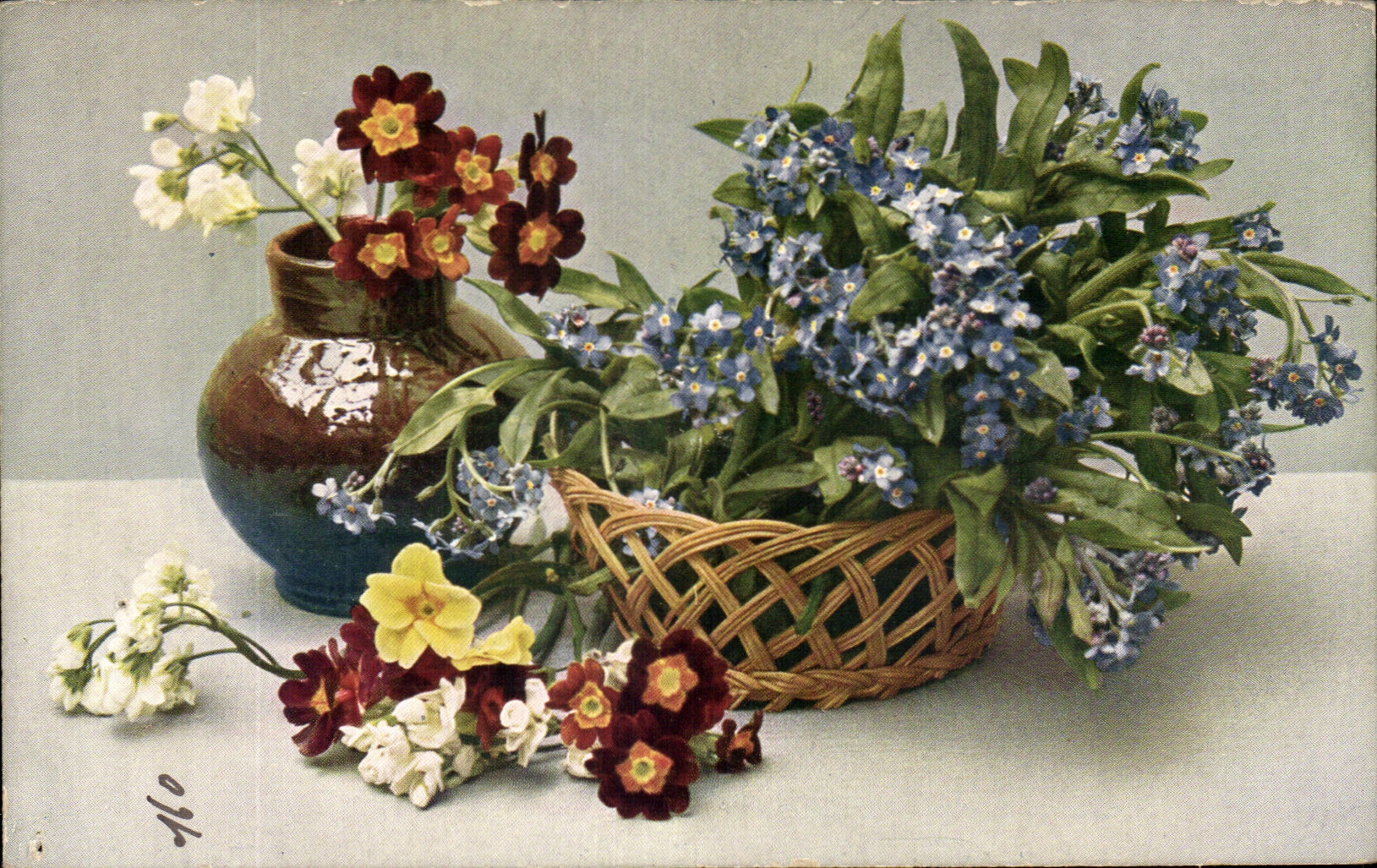 La fantasia de CPA florece nomeolvides