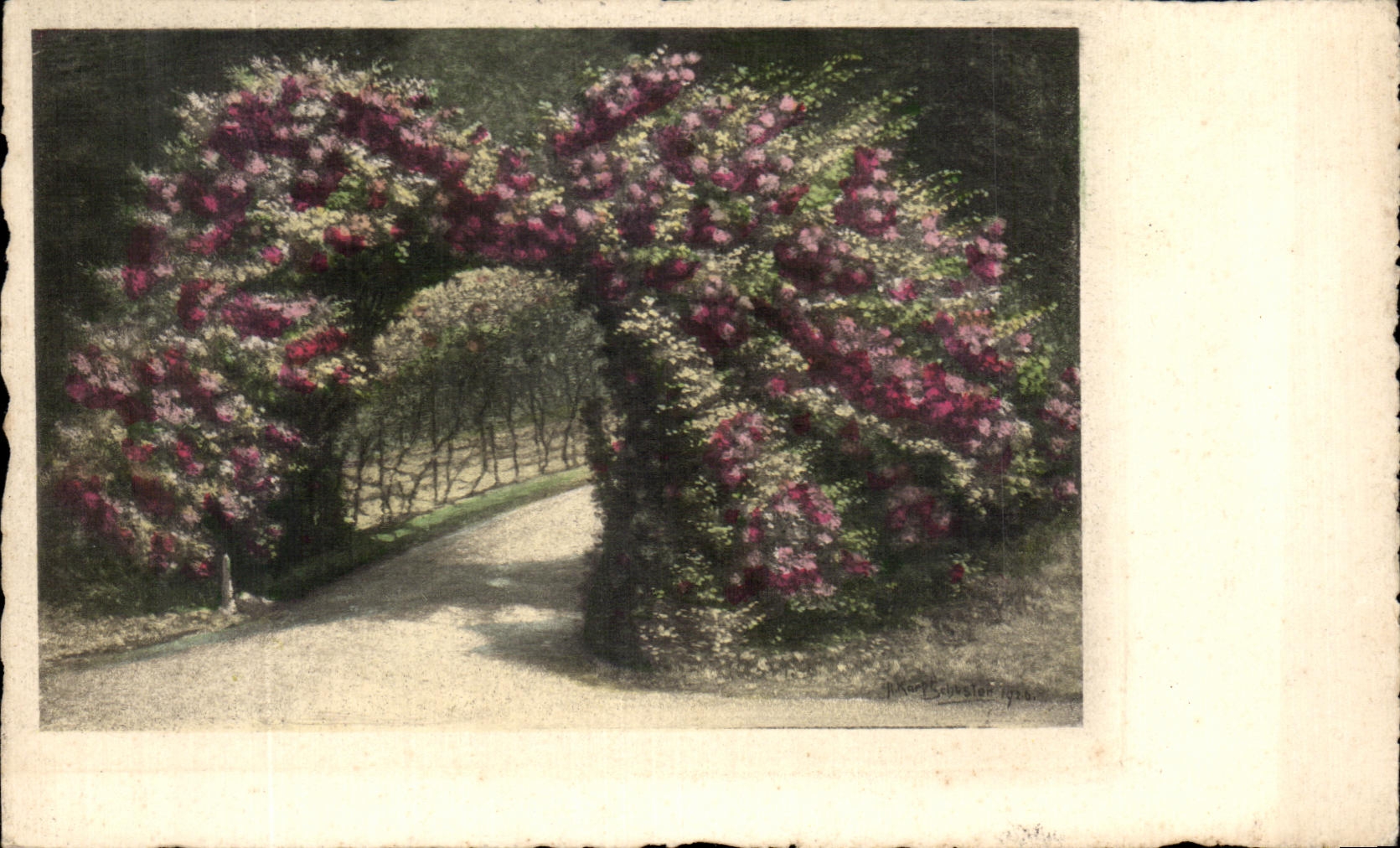 Flores de la fantasia de CPA