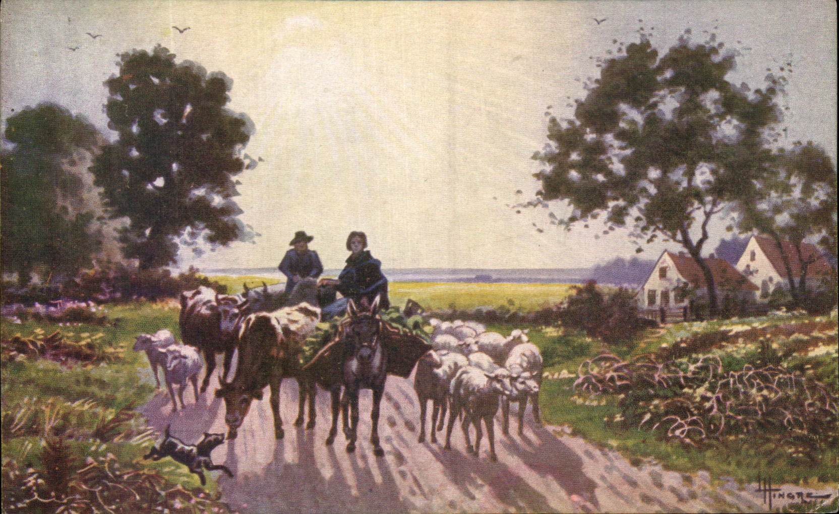 CPA Paysages de Hiagre Moutons 