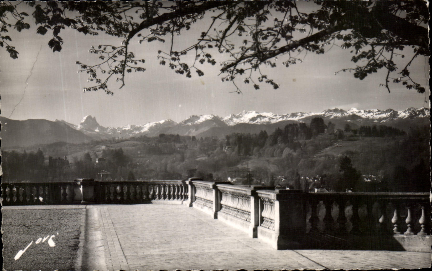 CPA Pau Sur Le Boulevard Des Pyrenees Le Matin